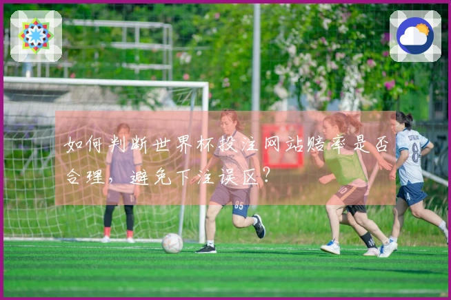如何判断世界杯投注网站赔率是否合理，避免下注误区？